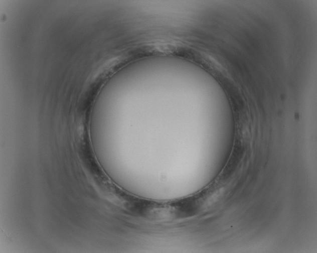 X0000067950595200604272101