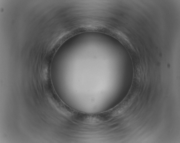 X0000067950596200604272101