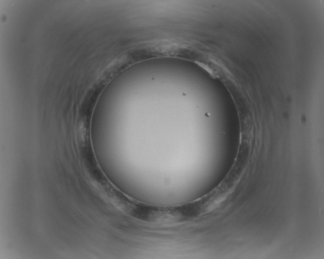 X0000067950597200604272101