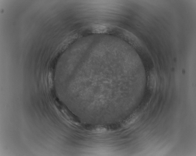 X0000067950598200604272101