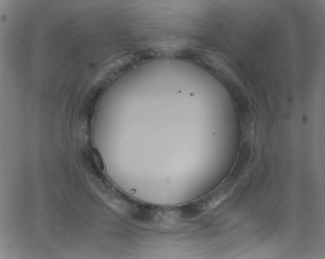 X0000067950599200604272101