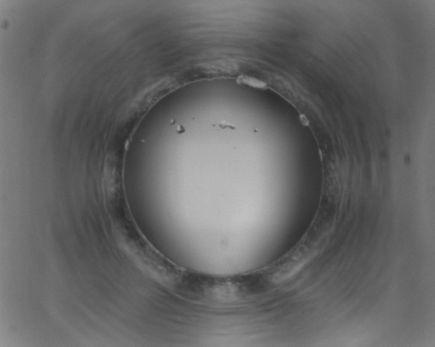 X0000067950600200604272101