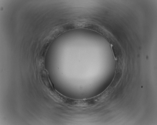 X0000067950601200604272101