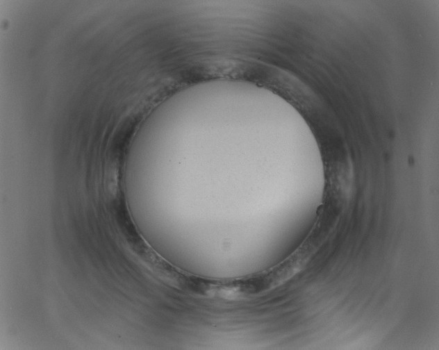 X0000067950602200604272101