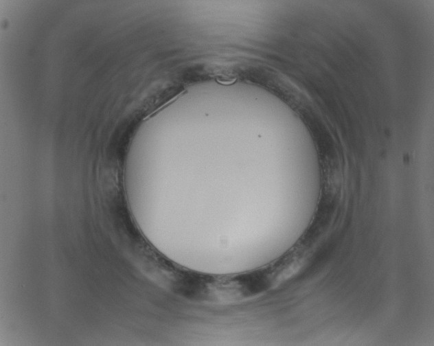 X0000067950603200604272101