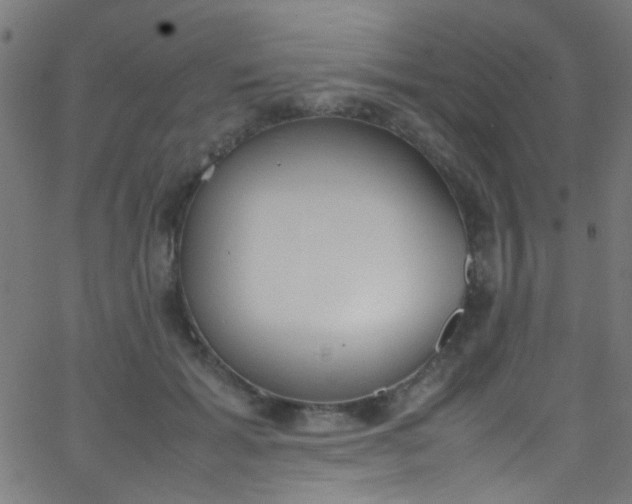 X0000067950605200604272101