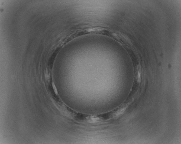 X0000067950607200604272101