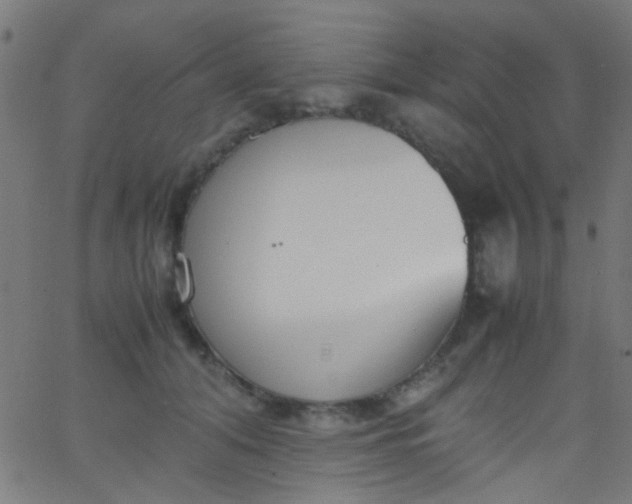 X0000067950608200604272101