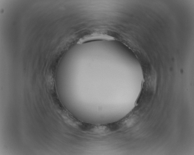 X0000067950609200604272101