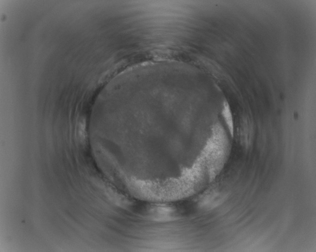 X0000067950610200604272101