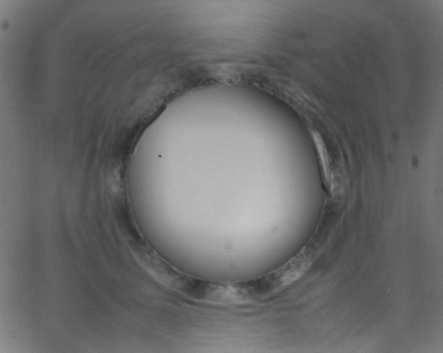 X0000067950611200604272101