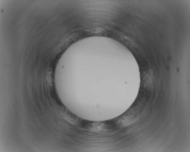 X0000067950612200604272101