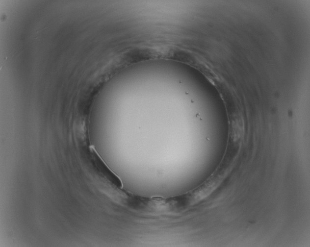 X0000067950613200604272101