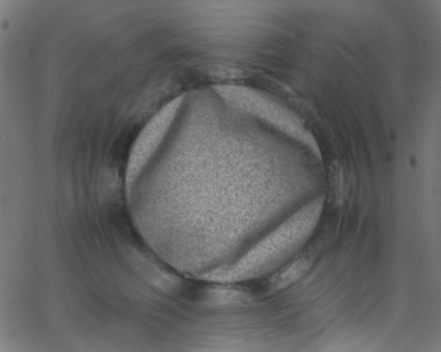 X0000067950614200604272101