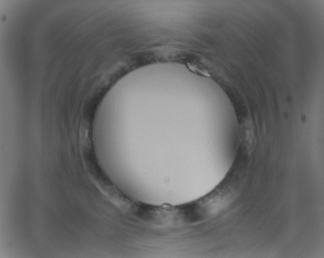 X0000067950615200604272101