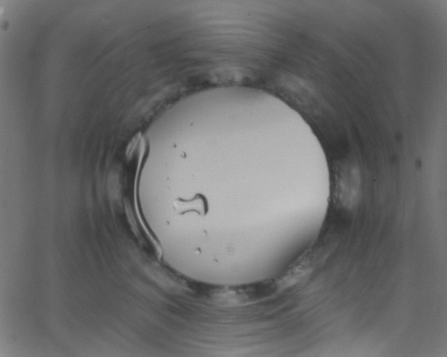 X0000067950616200604272101