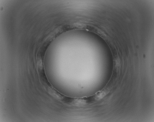 X0000067950617200604272101