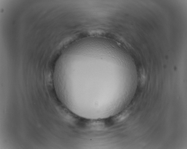 X0000067950619200604272101