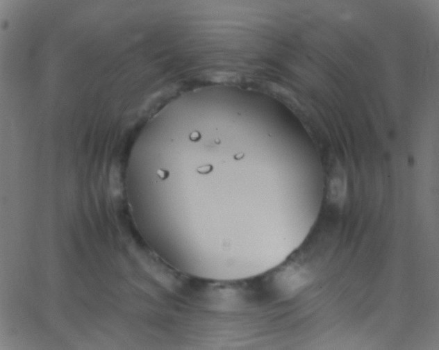 X0000067950620200604272101