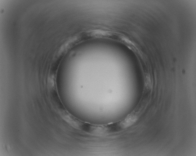 X0000067950621200604272101