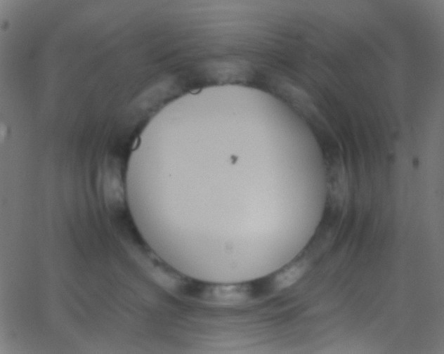 X0000067950622200604272101