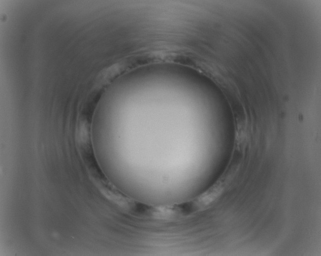 X0000067950623200604272101