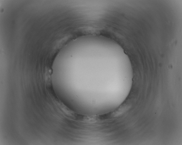 X0000067950624200604272101