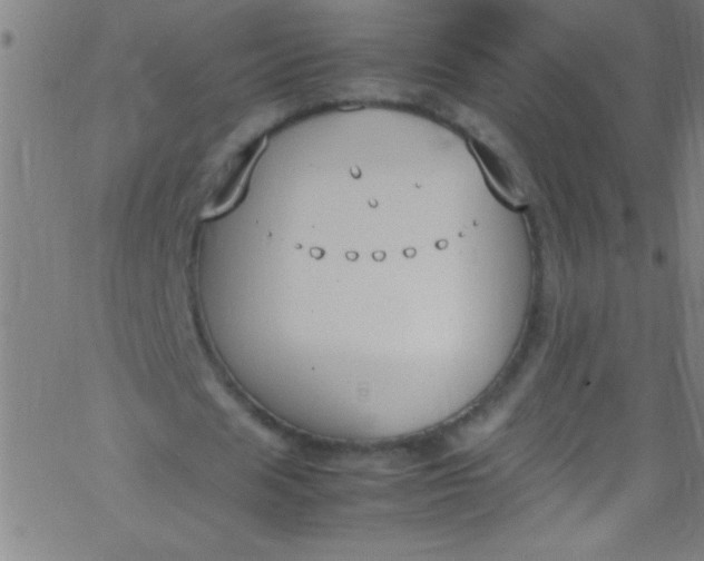 X0000067950625200604272100