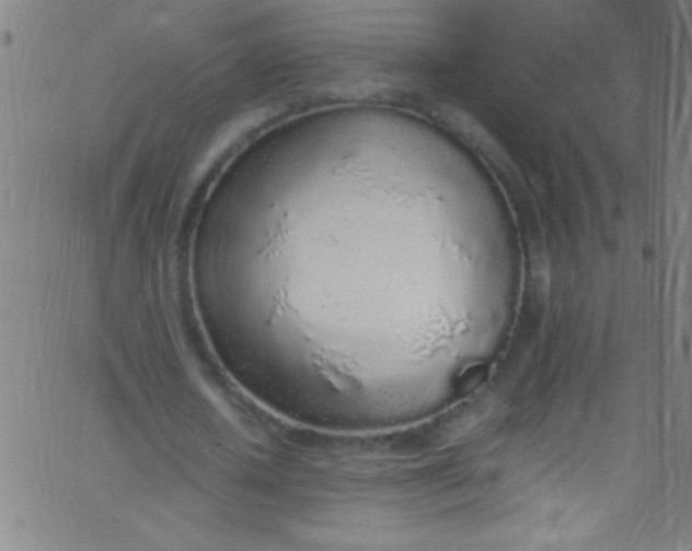 X0000067950626200604272100