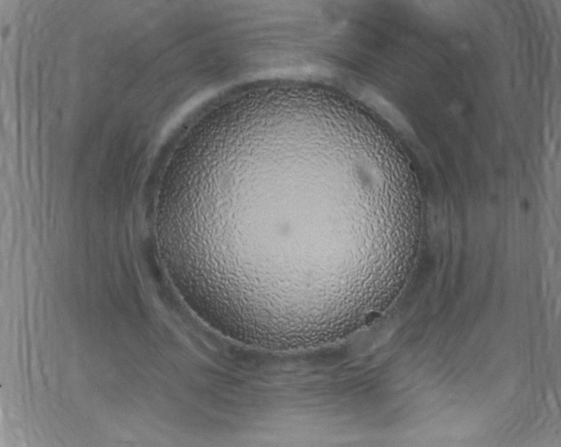 X0000067950628200604272100