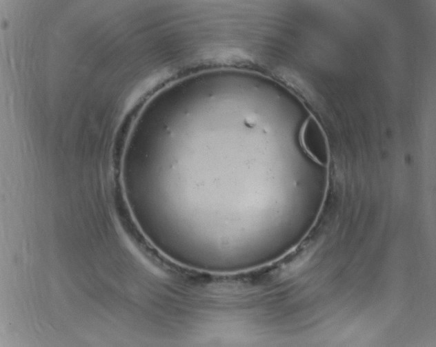 X0000067950630200604272100