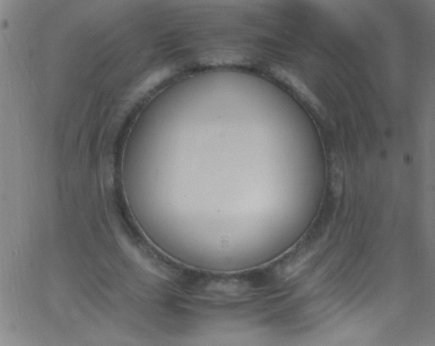 X0000067950631200604272100