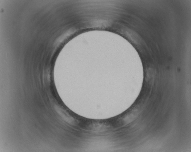 X0000067950632200604272100