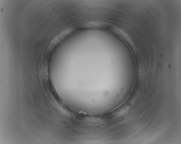 X0000067950633200604272100