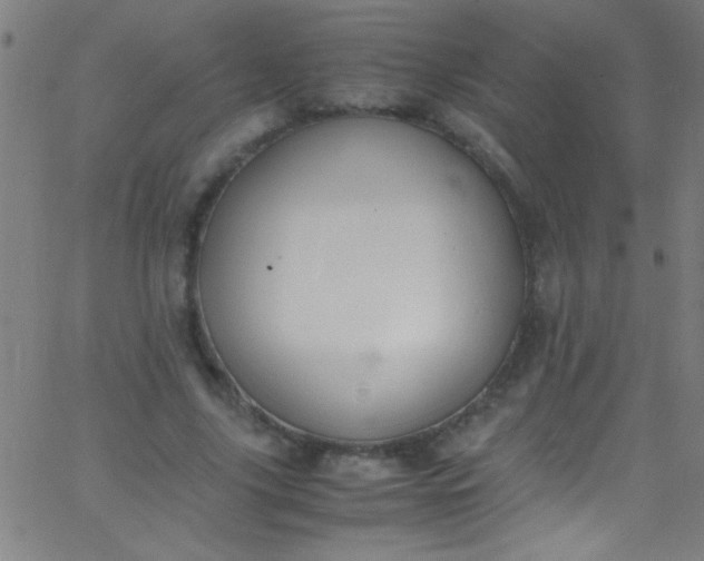 X0000067950635200604272100