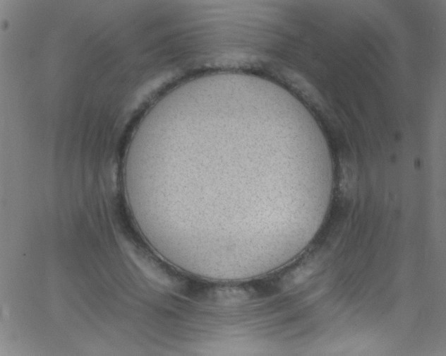 X0000067950636200604272100