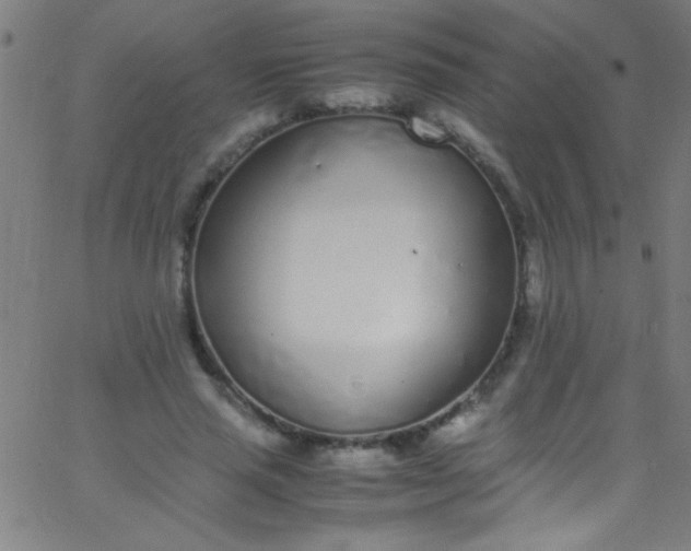 X0000067950637200604272100