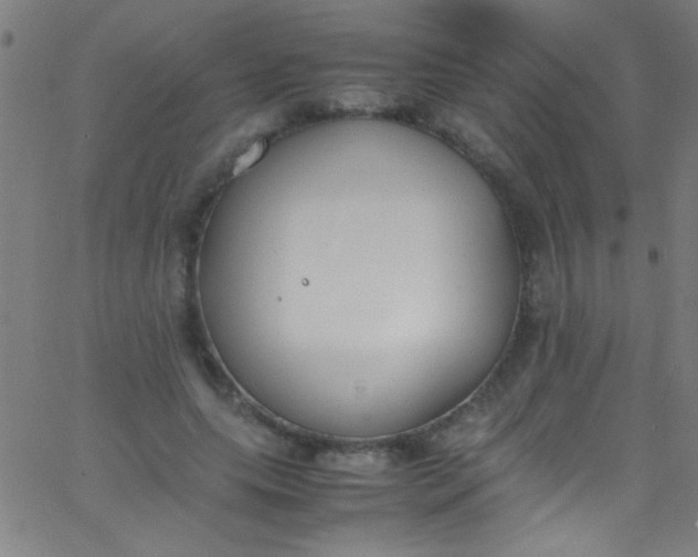 X0000067950639200604272100