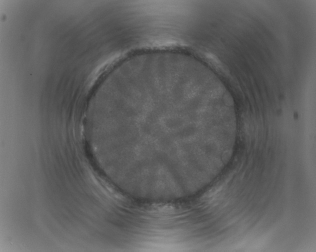 X0000067950640200604272100