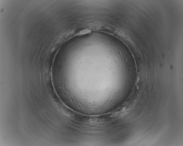 X0000067950641200604272100