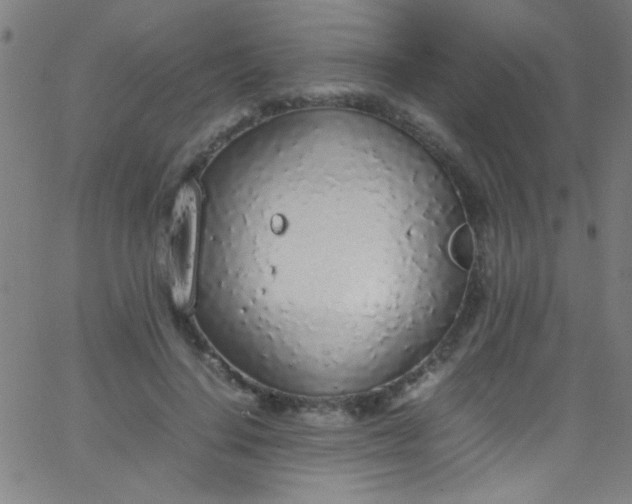 X0000067950644200604272100