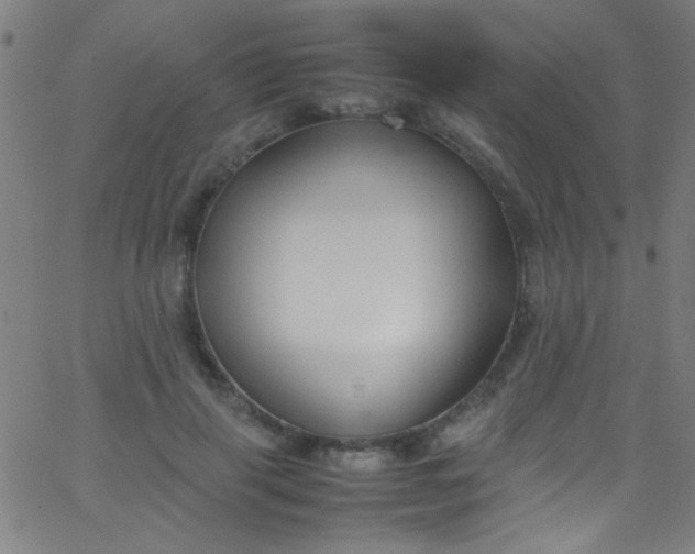 X0000067950645200604272100