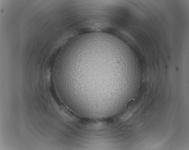 X0000067950646200604272100