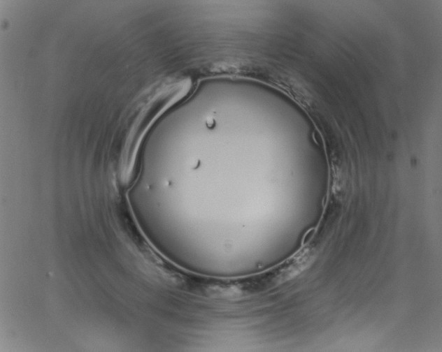 X0000067950648200604272100