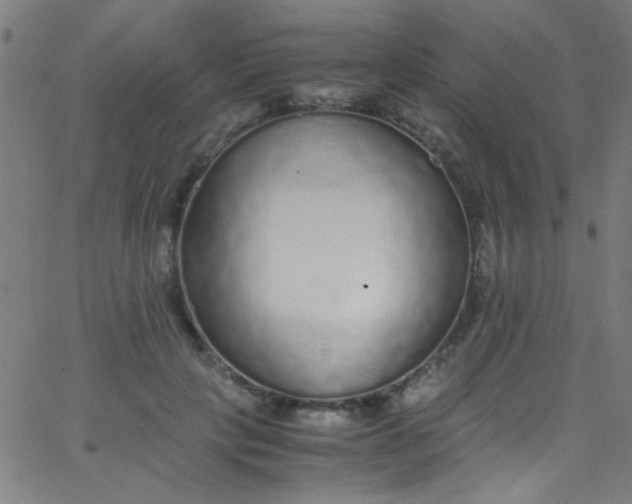 X0000067950649200604272100