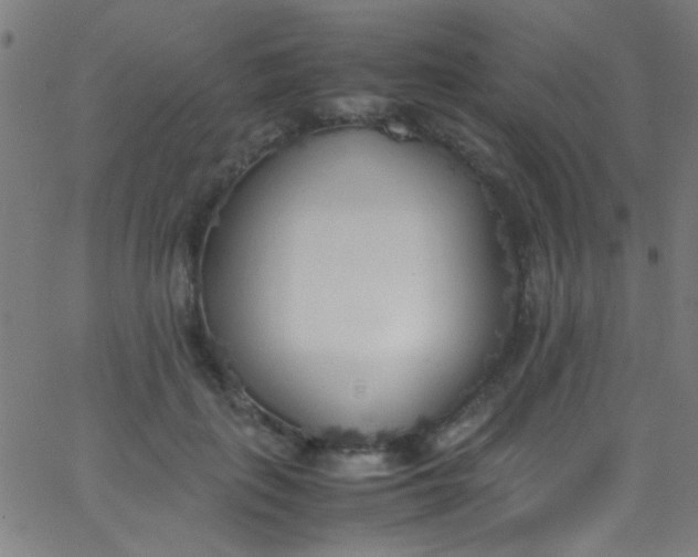 X0000067950651200604272100