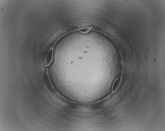 X0000067950652200604272100