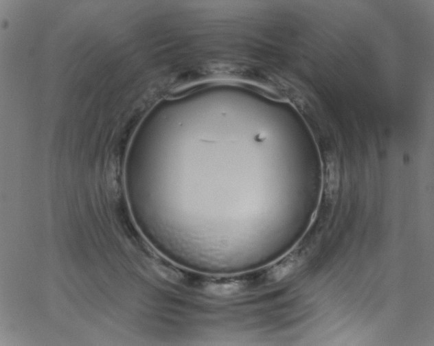 X0000067950653200604272100