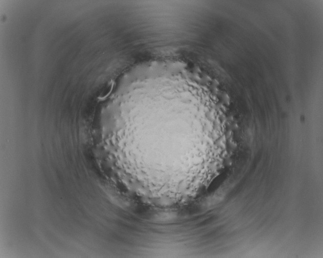 X0000067950658200604272100