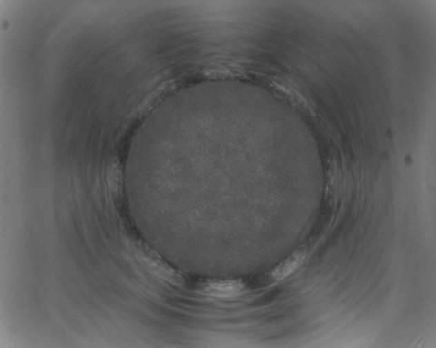 X0000067950659200604272100